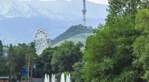 Voli Low Cost Almaty Almaty