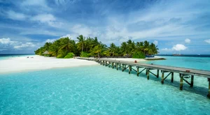 Voli Low Cost Male Male