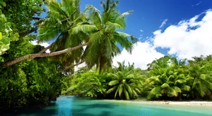 Voli Low Cost Mahe Island Mahe Island