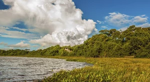 Voli Low Cost Saipan Saipan